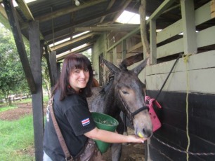 Janet with our mule