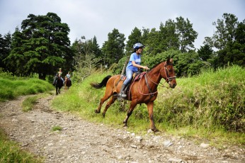 A nice canter for some more experienced guests
