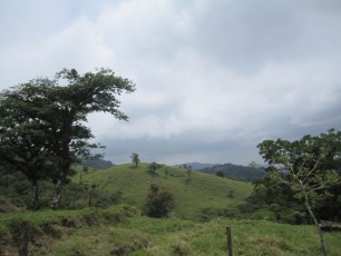 Scenery around Monteverde Costa Rica