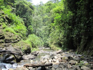 The stream on the Eden Falls Ride