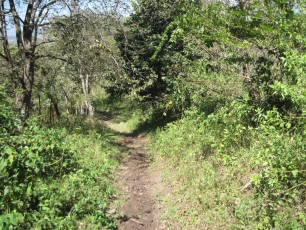 Quiet trails let you appreciate nature