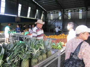 costa rica horseback riding holidays