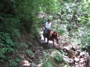horse riding holiday in costa rica