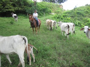 best costa rica horse riding vacation