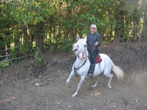 horseback riding vacation in monteverde